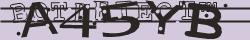 Retype the CAPTCHA code from the image