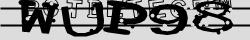 Retype the CAPTCHA code from the image