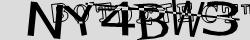 Retype the CAPTCHA code from the image