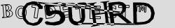 Retype the CAPTCHA code from the image