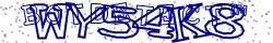 Retype the CAPTCHA code from the image