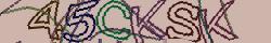 Retype the CAPTCHA code from the image