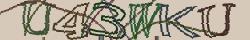 Retype the CAPTCHA code from the image