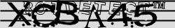 Retype the CAPTCHA code from the image
