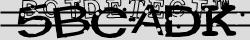 Retype the CAPTCHA code from the image