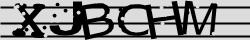 Retype the CAPTCHA code from the image