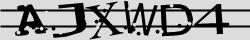 Retype the CAPTCHA code from the image