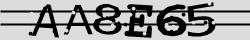 Retype the CAPTCHA code from the image