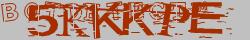 Retype the CAPTCHA code from the image