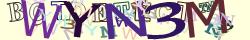 Retype the CAPTCHA code from the image