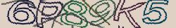 Retype the CAPTCHA code from the image