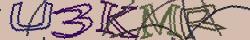 Retype the CAPTCHA code from the image