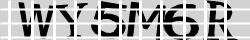 Retype the CAPTCHA code from the image
