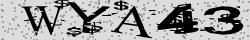 Retype the CAPTCHA code from the image