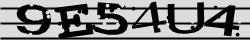 Retype the CAPTCHA code from the image