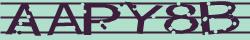 Retype the CAPTCHA code from the image