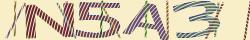 Retype the CAPTCHA code from the image