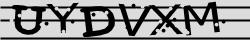 Retype the CAPTCHA code from the image