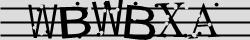 Retype the CAPTCHA code from the image