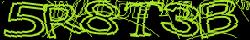 Retype the CAPTCHA code from the image