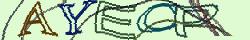 Retype the CAPTCHA code from the image