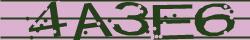 Retype the CAPTCHA code from the image