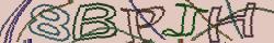 Retype the CAPTCHA code from the image