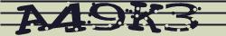 Retype the CAPTCHA code from the image