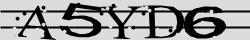 Retype the CAPTCHA code from the image