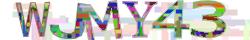 Retype the CAPTCHA code from the image