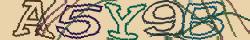 Retype the CAPTCHA code from the image