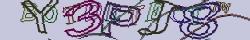 Retype the CAPTCHA code from the image