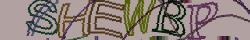 Retype the CAPTCHA code from the image