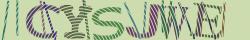 Retype the CAPTCHA code from the image