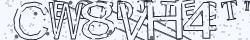 Retype the CAPTCHA code from the image