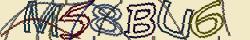 Retype the CAPTCHA code from the image