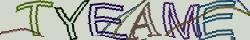 Retype the CAPTCHA code from the image