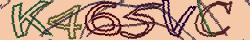 Retype the CAPTCHA code from the image
