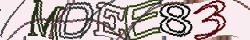 Retype the CAPTCHA code from the image
