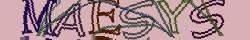 Retype the CAPTCHA code from the image