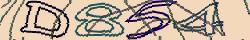 Retype the CAPTCHA code from the image