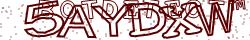 Retype the CAPTCHA code from the image