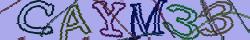 Retype the CAPTCHA code from the image