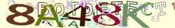 Retype the CAPTCHA code from the image
