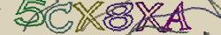 Retype the CAPTCHA code from the image